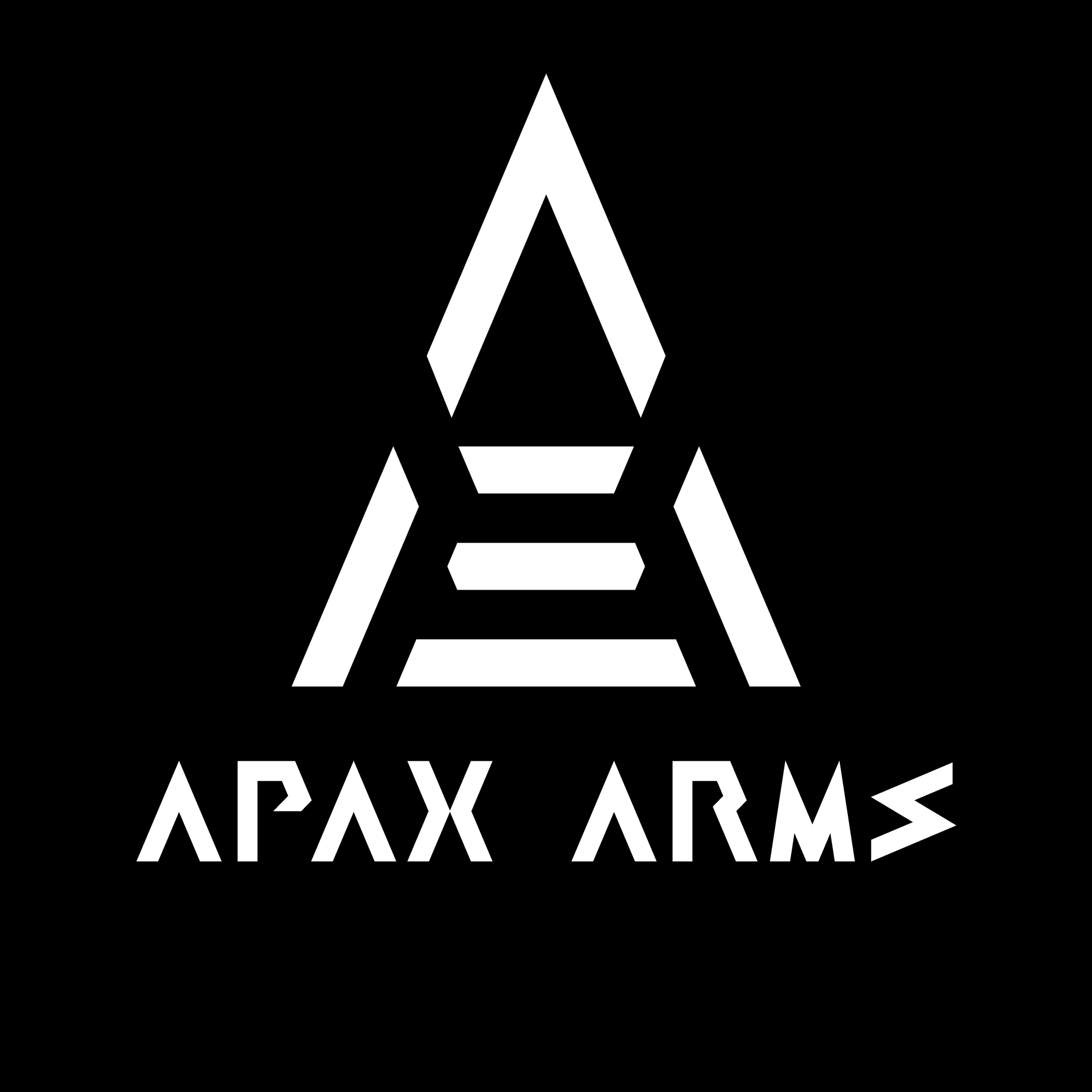 APAX_LOGO_LETTER_WH.png